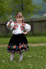 Image showing Small girl in traditional dress on the meadow