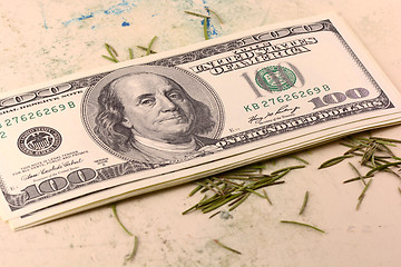 Image showing american money dollars 