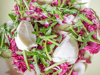 Image showing Lettuce salad