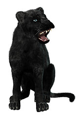 Image showing Black Panther