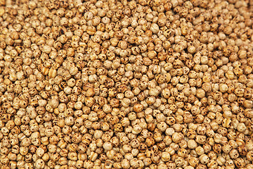 Image showing Chickpea