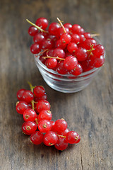 Image showing fresh ripe currant