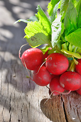 Image showing bunch of fresh radish 