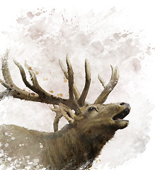 Image showing Bull Elk Watercolor