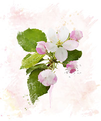 Image showing Apple Tree Blossom.Watercolor