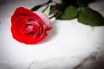 Image showing Red rose and a sheet of paper