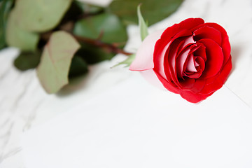 Image showing Red rose and a sheet of paper