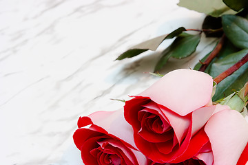 Image showing red roses on a marble background