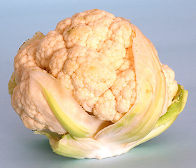 Image showing Cauliflower