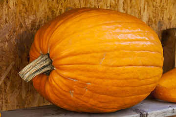 Image showing Halloween big Halloween cucurbita pumpkin pumpkins from autumn h