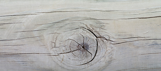 Image showing Stain Knot Wooden Background