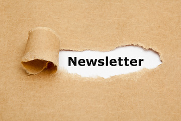 Image showing Newsletter Torn Paper Concept