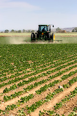 Image showing tractor plowing