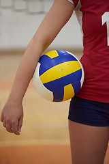 Image showing volleyball