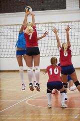 Image showing volleyball