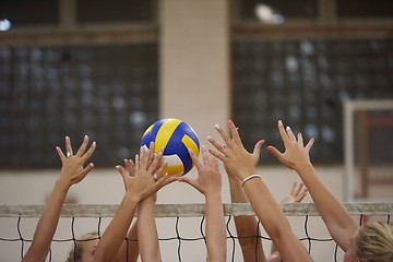 Image showing volleyball