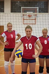 Image showing volleyball