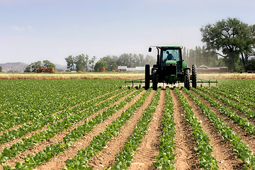 Image showing tractor plowing the fields