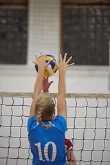 Image showing volleyball