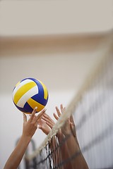 Image showing volleyball