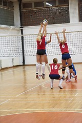 Image showing volleyball