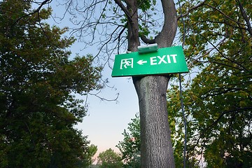 Image showing Exit sign on tree