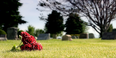 Image showing cemetary tribute