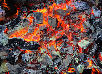 Image showing Live coals