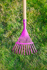 Image showing Cleaning green lawn by rake