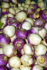 Image showing Turnips