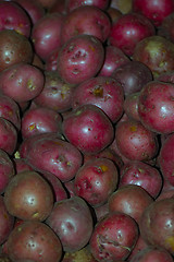 Image showing Red Potatoes