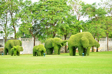 Image showing The green elephant tree in Bang Pa-In palace at Ayutthaya provin