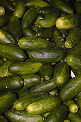 Image showing cucumbers