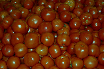 Image showing Tomatoes