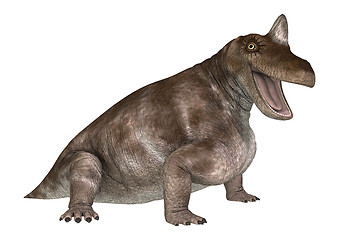 Image showing Dinosaur Keratocephalus