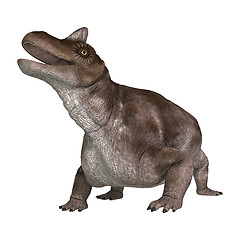 Image showing Dinosaur Keratocephalus