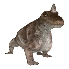 Image showing Dinosaur Keratocephalus