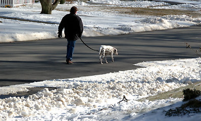 Image showing Walking