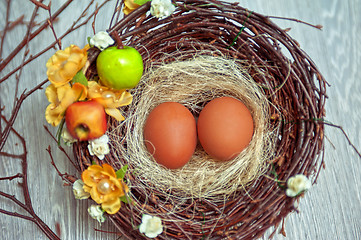 Image showing eggs in nest 