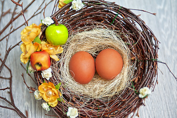 Image showing eggs in nest 