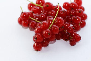 Image showing Red currant