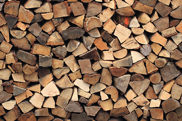 Image showing firewood texture