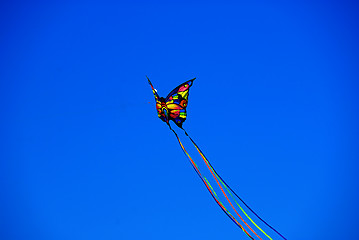 Image showing Butterfly Kite