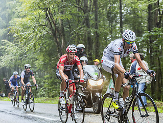 Image showing Cyclists Climbing Col du Platzerwasel - Tour de France 2014