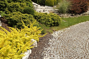 Image showing Path in the garden.