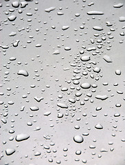 Image showing Rain drops