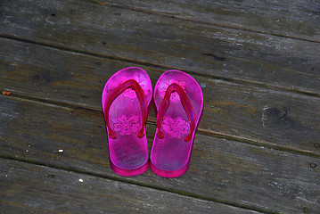 Image showing Flip Flops