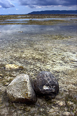 Image showing madagascar and rock