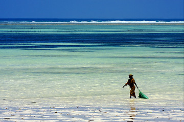 Image showing walking alone