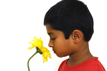 Image showing Smelling